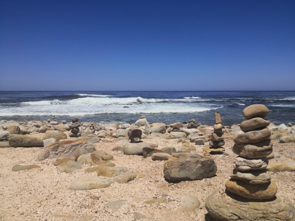 Rocks at the Cape of Good Hope. Liesl Frankson